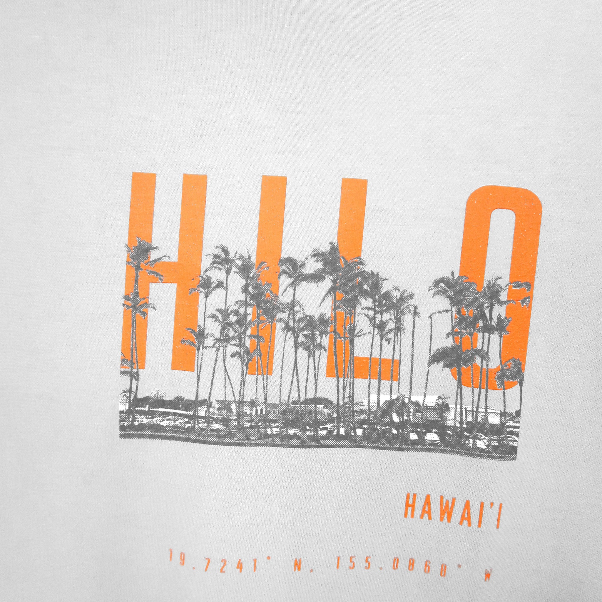 Hilo Downtown T-shirt.